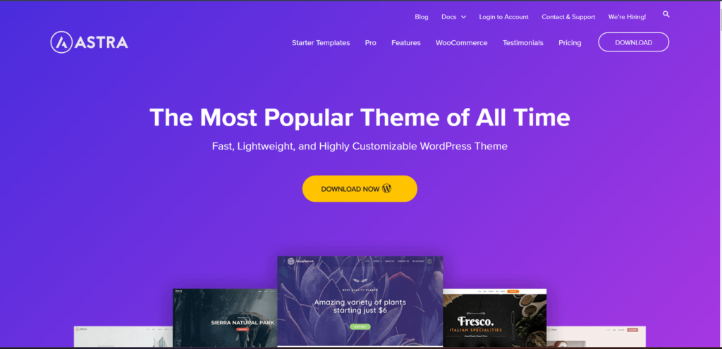 Astra Multipurpose theme- Best free e-commerce theme